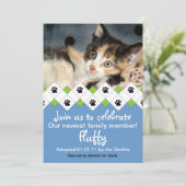 猫·子猫の里親募集 招待状 (スタンド正面)