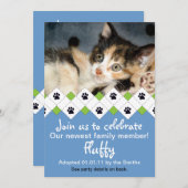 猫·子猫の里親募集 招待状 (正面/裏面)