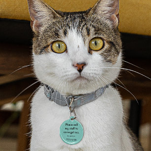 猫、子猫失ったラベル、ティール（緑がかった色）小。88インチ ペット　ネームタグ