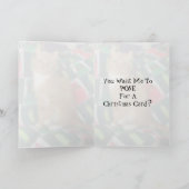 猫,子猫,クリスマス,救助,写真 シーズンカード (内部)