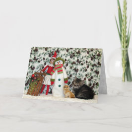 猫，子猫，クリスマス，救助，写真 シーズンカード