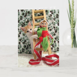 猫，子猫，クリスマス，救助，写真 シーズンカード