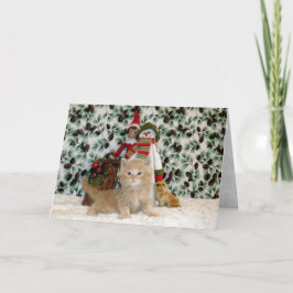 猫，子猫，クリスマス，救助，写真 シーズンカード