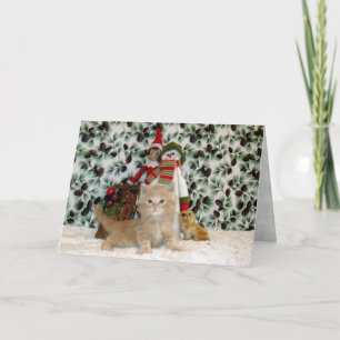 猫,子猫,クリスマス,救助,写真 シーズンカード
