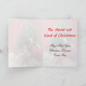 猫，子猫，クリスマス，救助，写真 シーズンカード (内部)