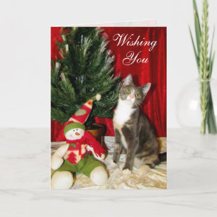 猫,子猫,クリスマス,救助,写真 シーズンカード