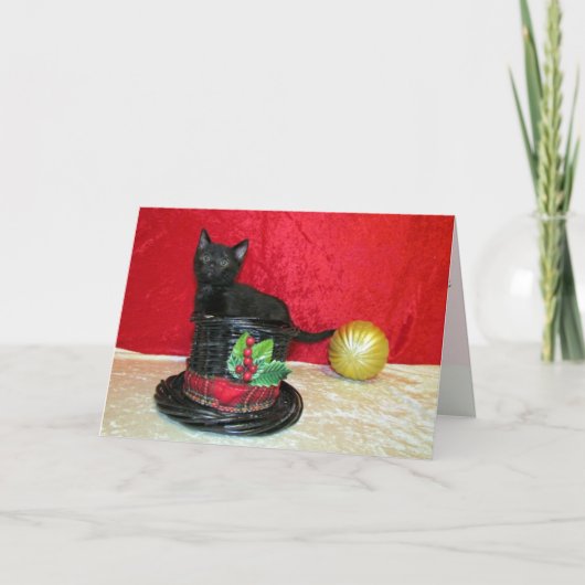 猫，子猫，クリスマス，救助，写真 シーズンカード (正面)