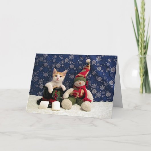 猫，子猫，クリスマス，救助，写真 シーズンカード (正面)