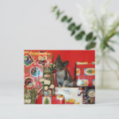 猫,子猫,クリスマス,救助,写真 シーズンポストカード (スタンド正面)