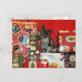 猫,子猫,クリスマス,救助,写真 シーズンポストカード (正面/裏面)