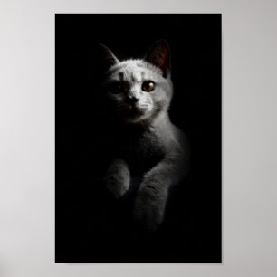 猫/子猫/子猫ポートレート ポスター