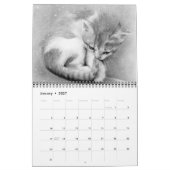猫,子猫,2016年カレンダーKaterinaArt カレンダー (1月 2027)
