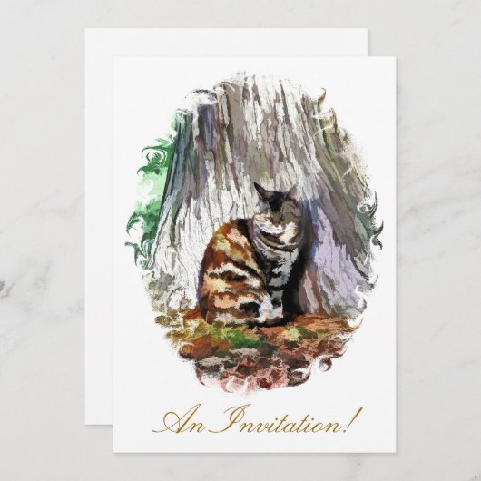 猫 招待状 (正面/裏面)