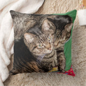 猫 – 日々 – 休日 – クリスマス クッション (ブランケット)