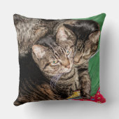 猫 – 日々 – 休日 – クリスマス クッション (裏面)