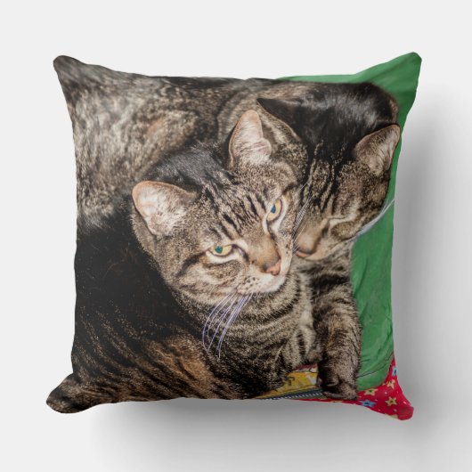 猫 – 日々 – 休日 – クリスマス クッション (正面)