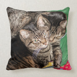 猫 – 日々 – 休日 – クリスマス クッション