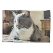 猫 枕カバー (裏面)