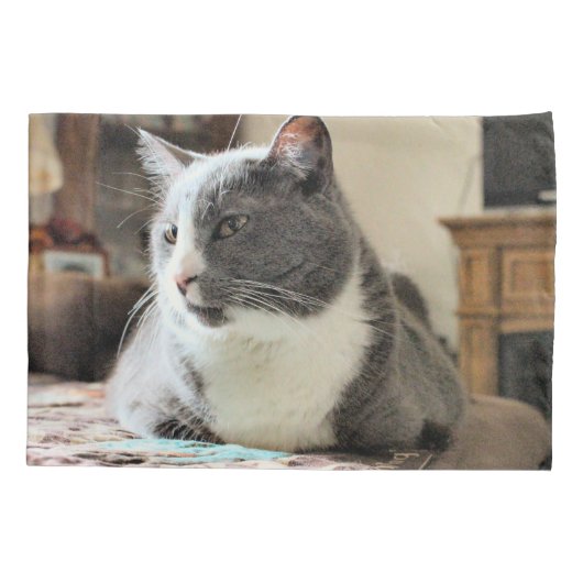 猫 枕カバー (裏面)