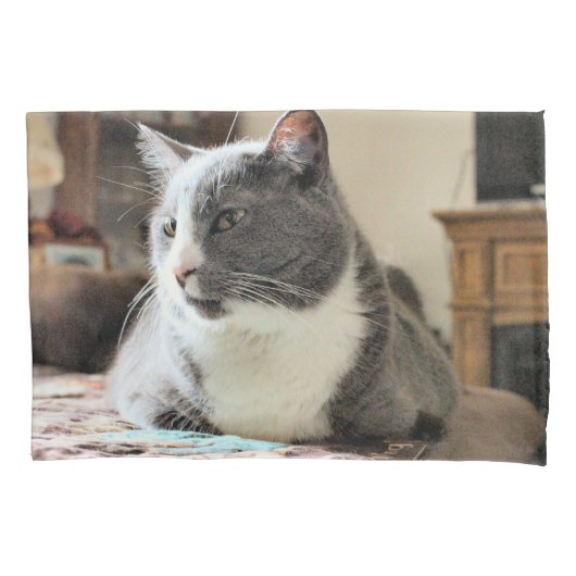 猫 枕カバー (正面)