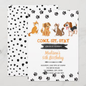 猫 犬 ペットの誕生日招待状 招待状 (正面/裏面)