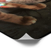 猫，猫，おもしろい，かわいい，子猫，子猫，黒猫 ポスター (角)