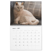 猫・猫・猫・猫・猫2023年カレンダー カレンダー (3月 2027)