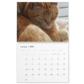 猫・猫・猫・猫・猫2023年カレンダー カレンダー (1月 2027)