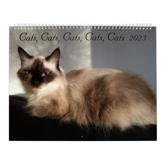 猫・猫・猫・猫・猫2023年カレンダー カレンダー (カバー)