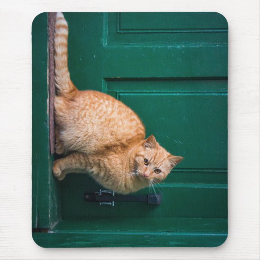 猫,玄関ドア,ペット マウスパッド (正面)