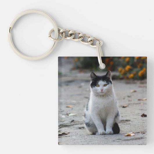 猫、白、ペット キーホルダー (正面)