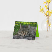 猫:私はこの場所から動いていない。 カード (黄色い花)