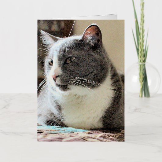 猫 箔グリーティングカード (正面)