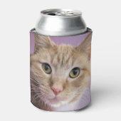 猫 缶クーラー (缶正面)