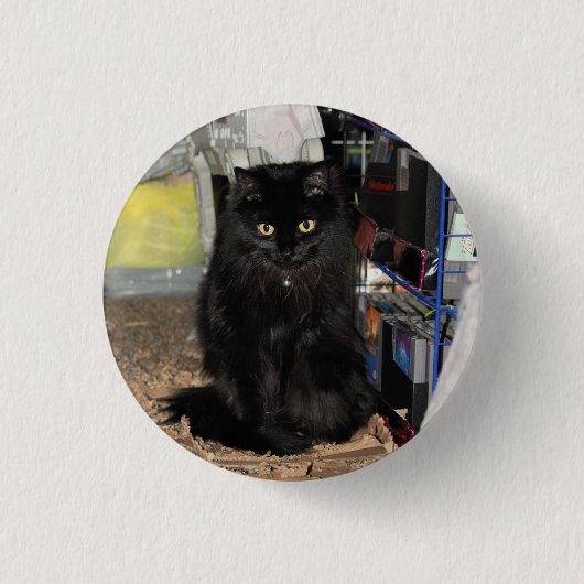 猫 缶バッジ (正面)