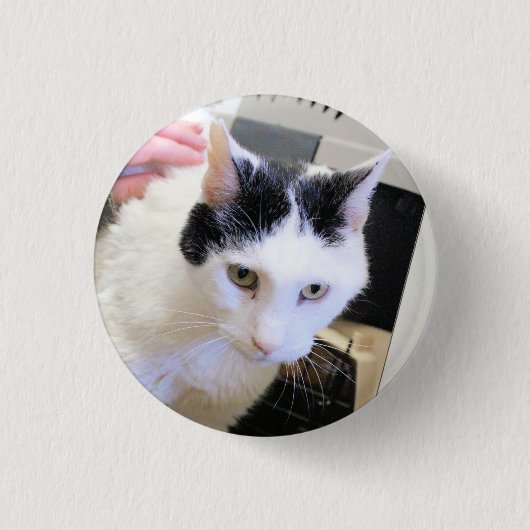 猫 缶バッジ (正面)