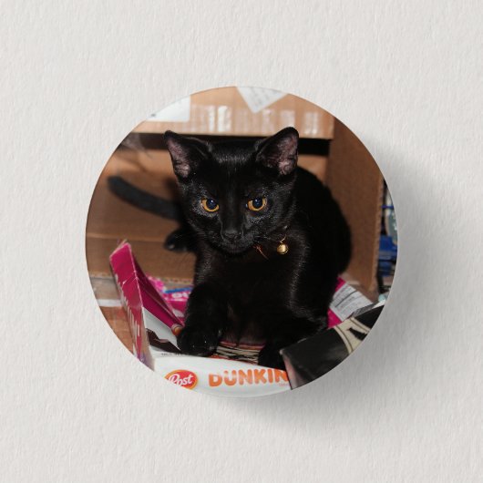 猫 缶バッジ (正面)