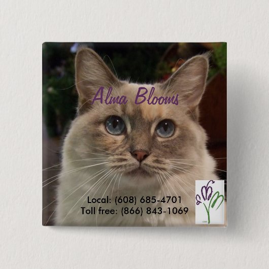 猫 缶バッジ (正面)