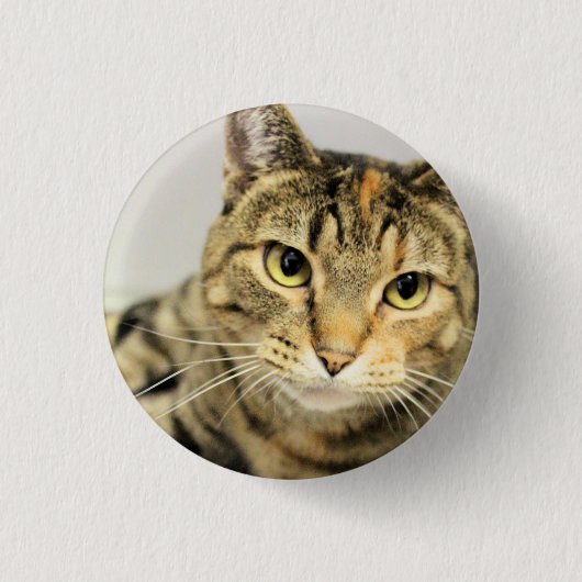 猫 缶バッジ (正面)