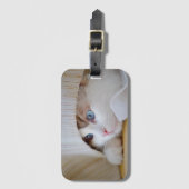 猫, 自然, 子猫 ラゲッジタグ (正面縦)