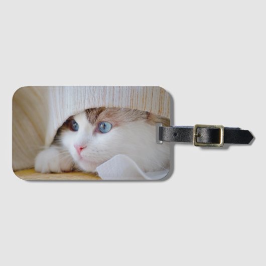 猫, 自然, 子猫 ラゲッジタグ (正面横)