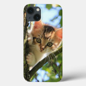 猫, 自然, 子猫 Case-Mate iPhoneケース (裏面)