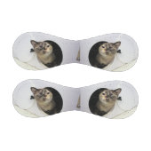 猫 野球ボール (パネル)