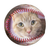 猫 野球ボール (正面左)