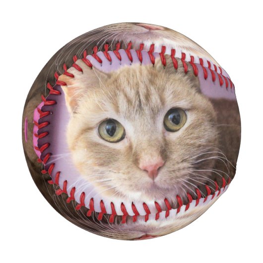 猫 野球ボール (正面左)