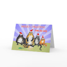 猫、集団からのメリークリスマス、ユーモア