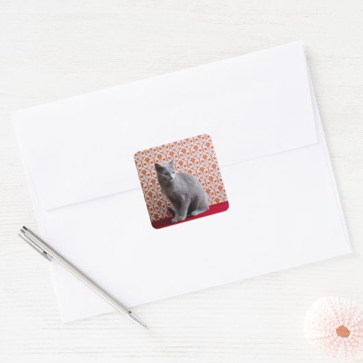 猫(青)ロシアのと壁紙の背景 スクエアシール (封筒)