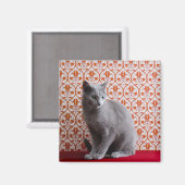猫(青)ロシアのと壁紙の背景 マグネット (正面/裏面)