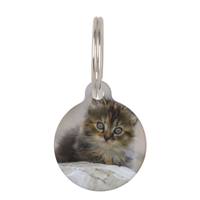 猫，飼い猫，ペット ペット　ネームタグ (正面)