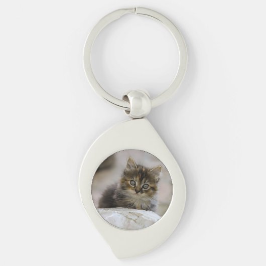 猫，飼い猫，動物 キーホルダー (正面)
